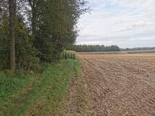 349629