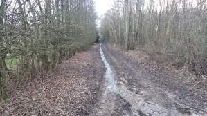 352988