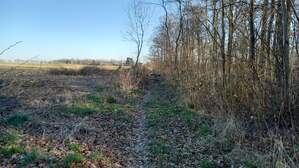 353506