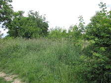 355675