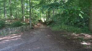 356005