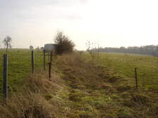 35637