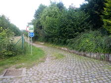 356423