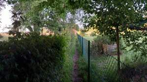 356479