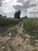 357468