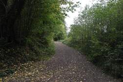 359131