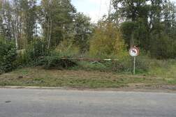 359590