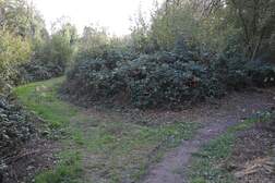 359712