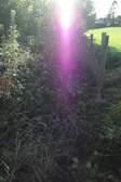 360006