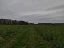 362634