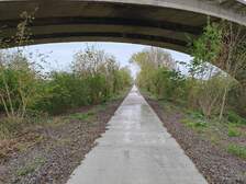 362833