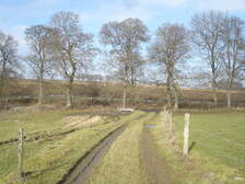 36322