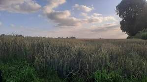 364691