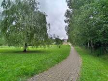365245