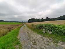 365887