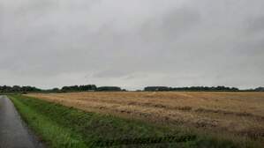 366424