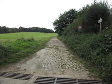 367381