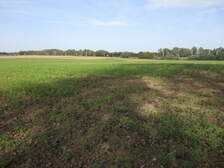 367528