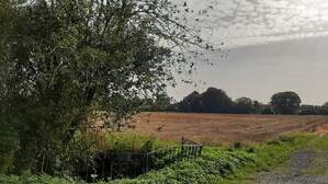367533