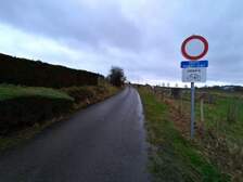 368436