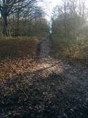 369044