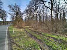369719