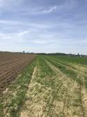 370608