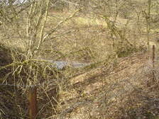 37272
