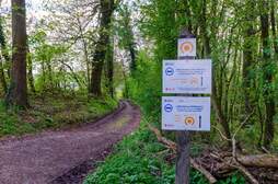372776