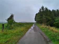 372965