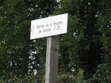 373290