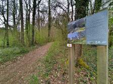 376410