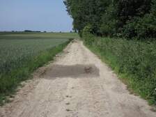 377361