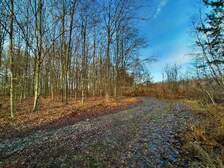 381361