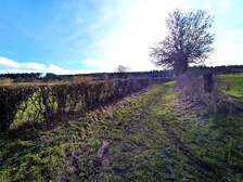 381866