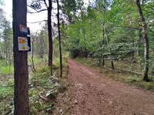 385253