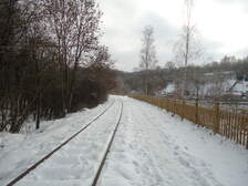 49526