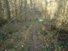 51362