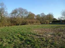 51654