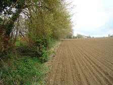 53010