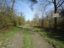 53146