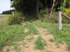 55149