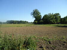 56297