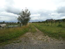 59442