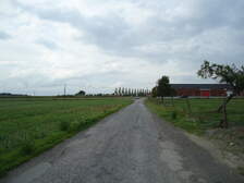 61334