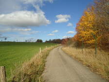 64679