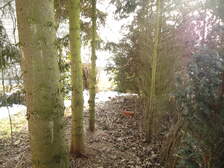 70693
