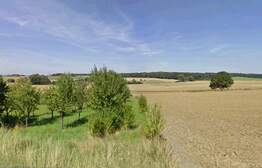 72946