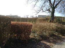 73802
