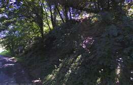 78229